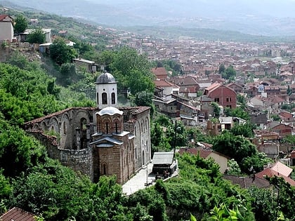 church of the holy saviour prizren