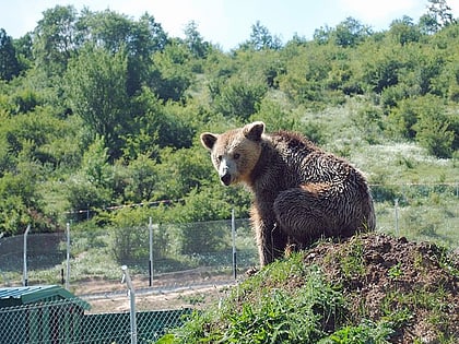 Bear Sanctuary Prishtina