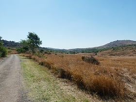 rezerwat przyrody groenkloof pretoria