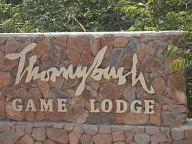Thornybush Game Reserve