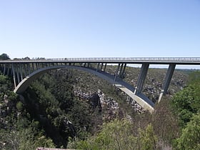 Puente Paul Sauer