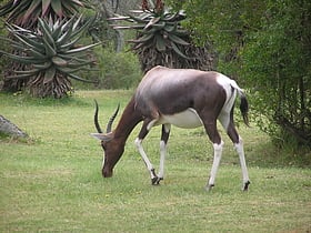 Park Narodowy Bontebok