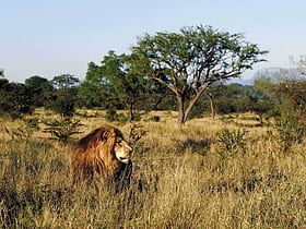 Kapama Game Reserve