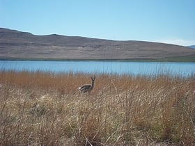 rezerwat przyrody sterkfontein dam