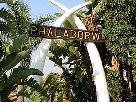 phalaborwa