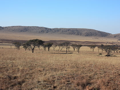 kgaswane mountain reserve