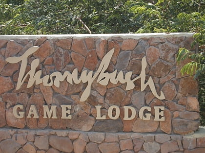 Thornybush Game Reserve