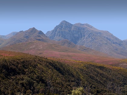 boosmansbos wilderness area areas protegidas de la region floral del cabo