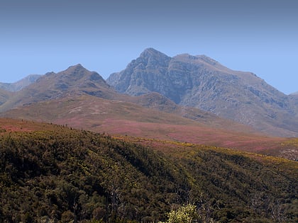 boosmansbos wilderness area cape floristic region