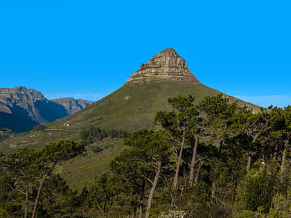 lions head table mountain national park