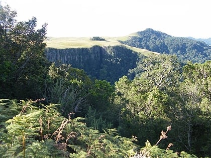 Karkloof Forest