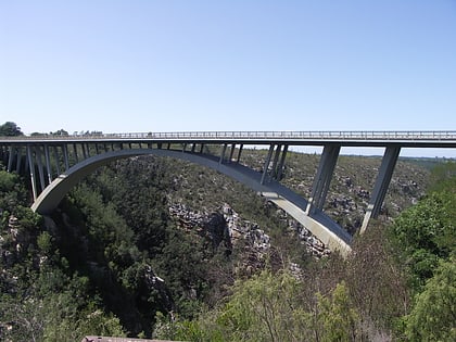puente paul sauer parque nacional garden route
