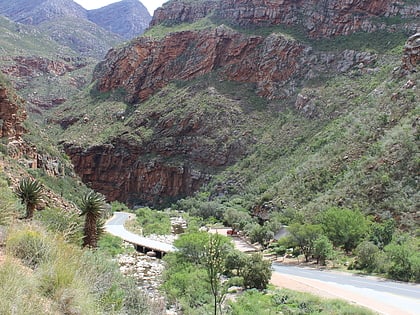 meiringspoort region floristique du cap