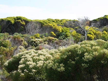 areas protegidas de la region floral del cabo