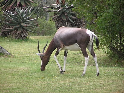 park narodowy bontebok swellendam