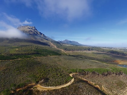 stellenbosch mountain areas protegidas de la region floral del cabo