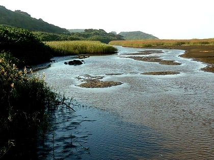 rezerwat przyrody umhlanga lagoon durban