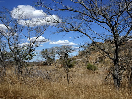 Park Narodowy Greater Kruger