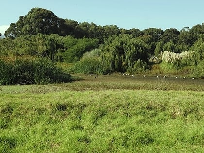 sanktuarium ptakow dick dent rietvlei wetland reserve