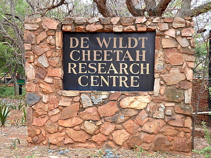 de wildt cheetah and wildlife centre hartebeespoort