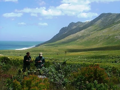 kogelberg nature reserve areas protegidas de la region floral del cabo