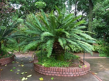 manie van der schijff botanical garden pretoria