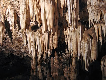 wonder cave sites des hominides fossiles dafrique du sud
