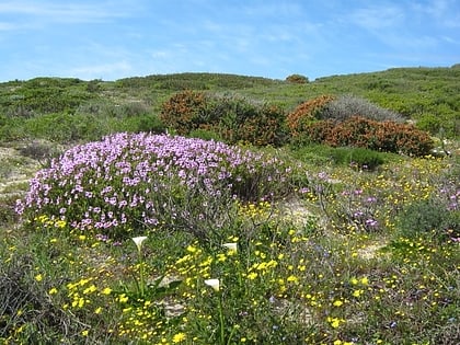 Wolfgat Nature Reserve