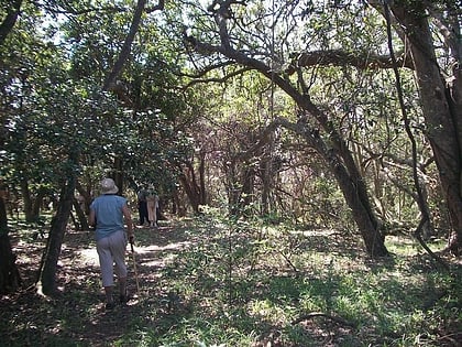 hawaan forest umhlanga