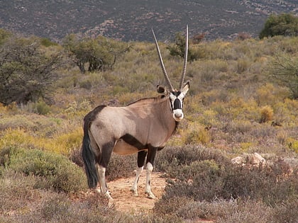 Anysberg Nature Reserve