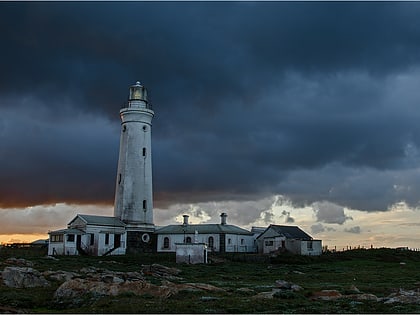 seal point lighthouse