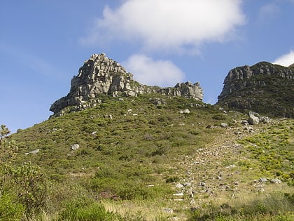 cecilia forest le cap