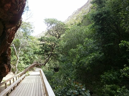 harold porter national botanical garden bettysbaai