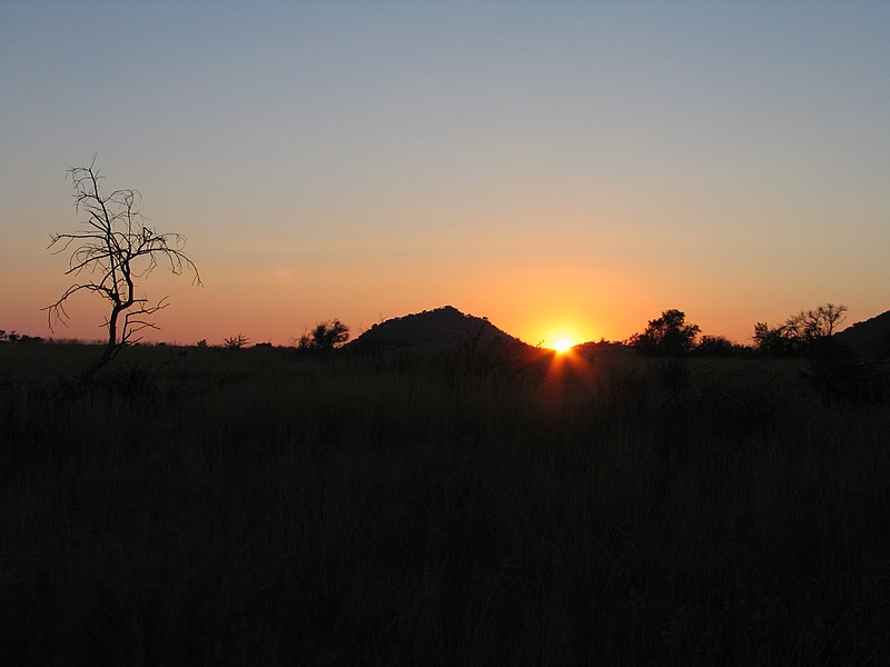 Reserva de fauna Pilanesberg