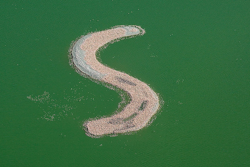 Kamfers Dam