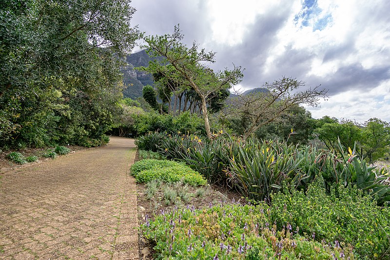 Jardin botanique national de Kirstenbosch