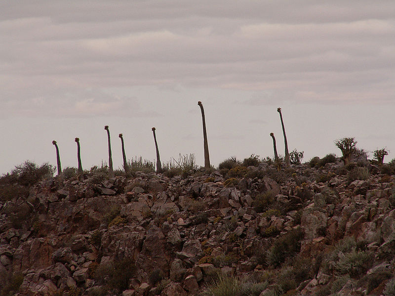 Parque nacional de Richtersveld