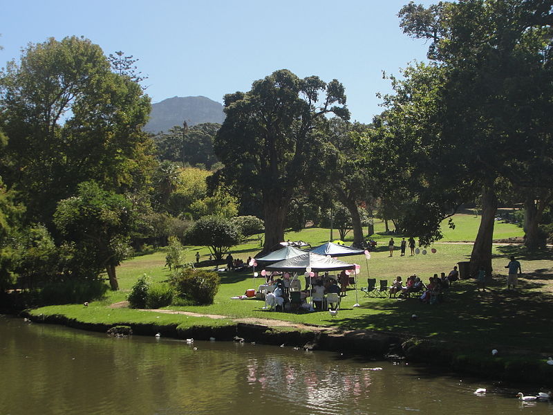 Wynberg Park, Kapsztad