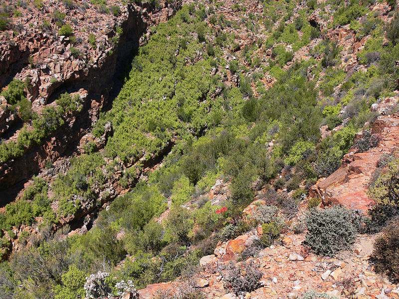 Gamkaberg Nature Reserve