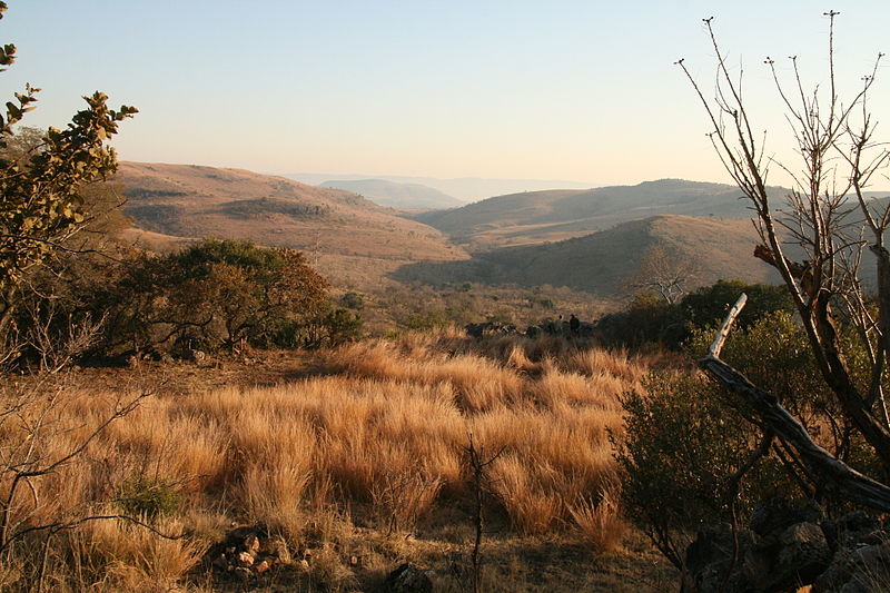 Malapa Fossil Site