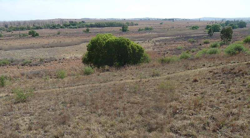 Rietvlei Nature Reserve