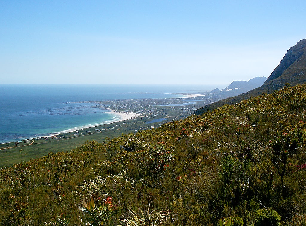 Betty's Bay, Afrique du Sud