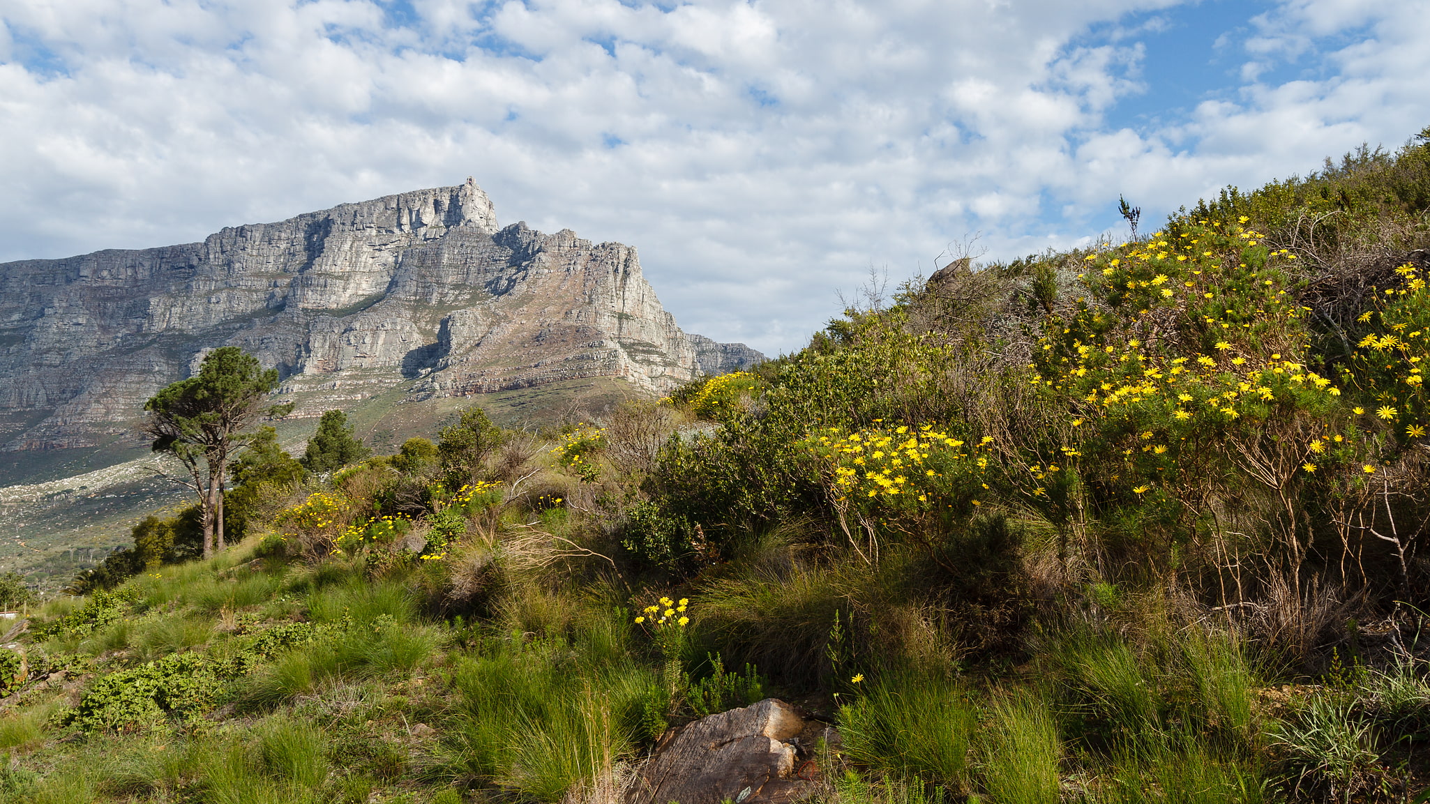 Parque nacional Montaña de la Mesa, Sudáfrica
