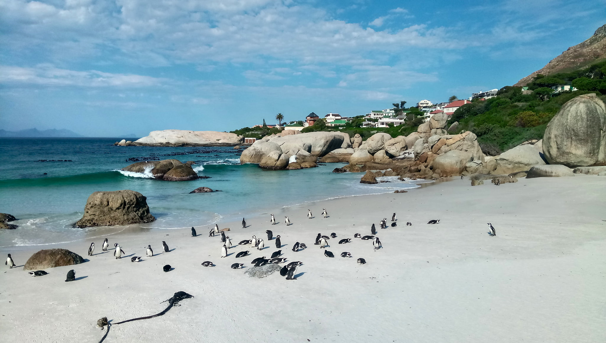 Boulders Beach, Republika Południowej Afryki
