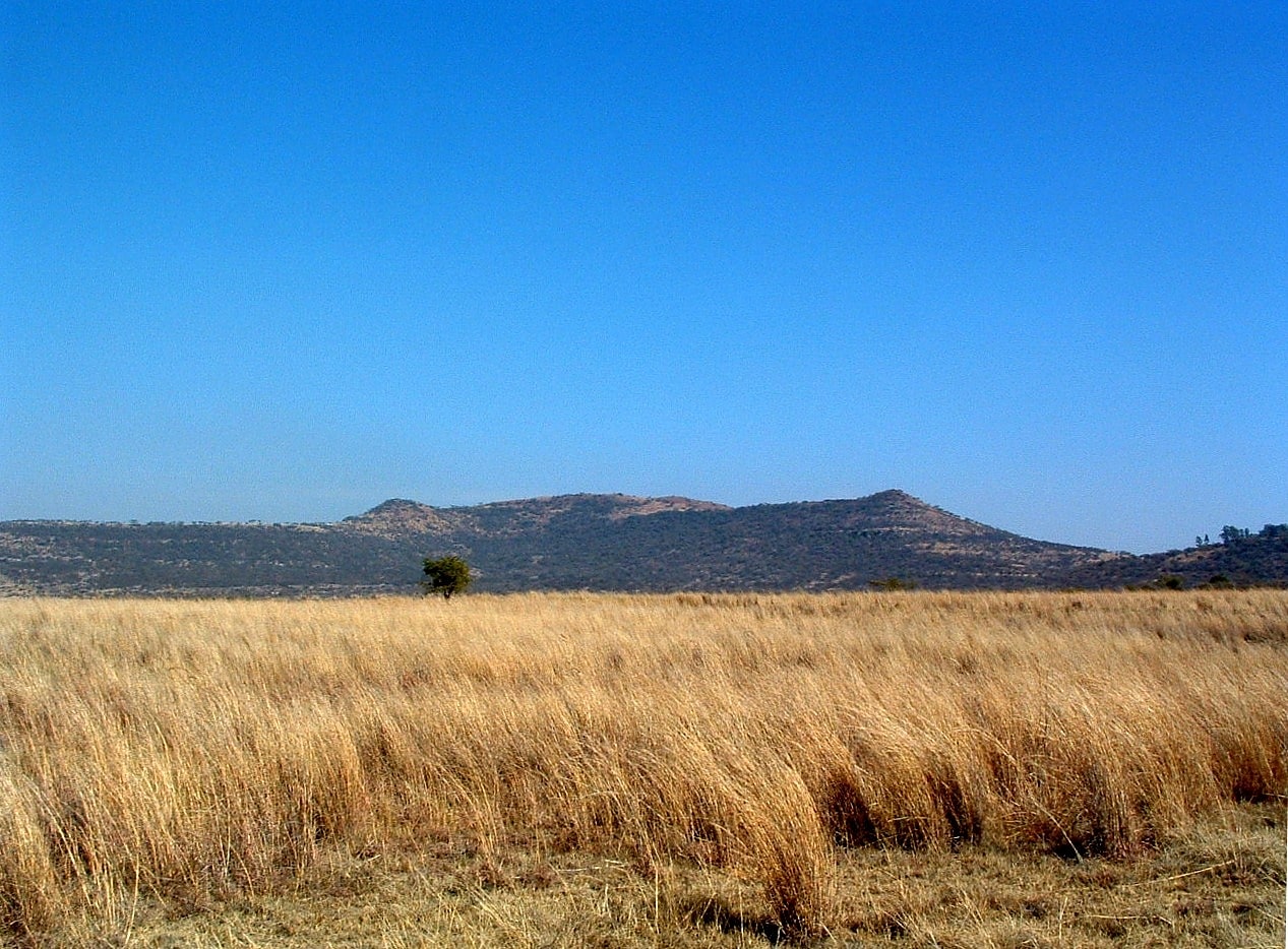Spioenkop Dam Nature Reserve, Afrique du Sud