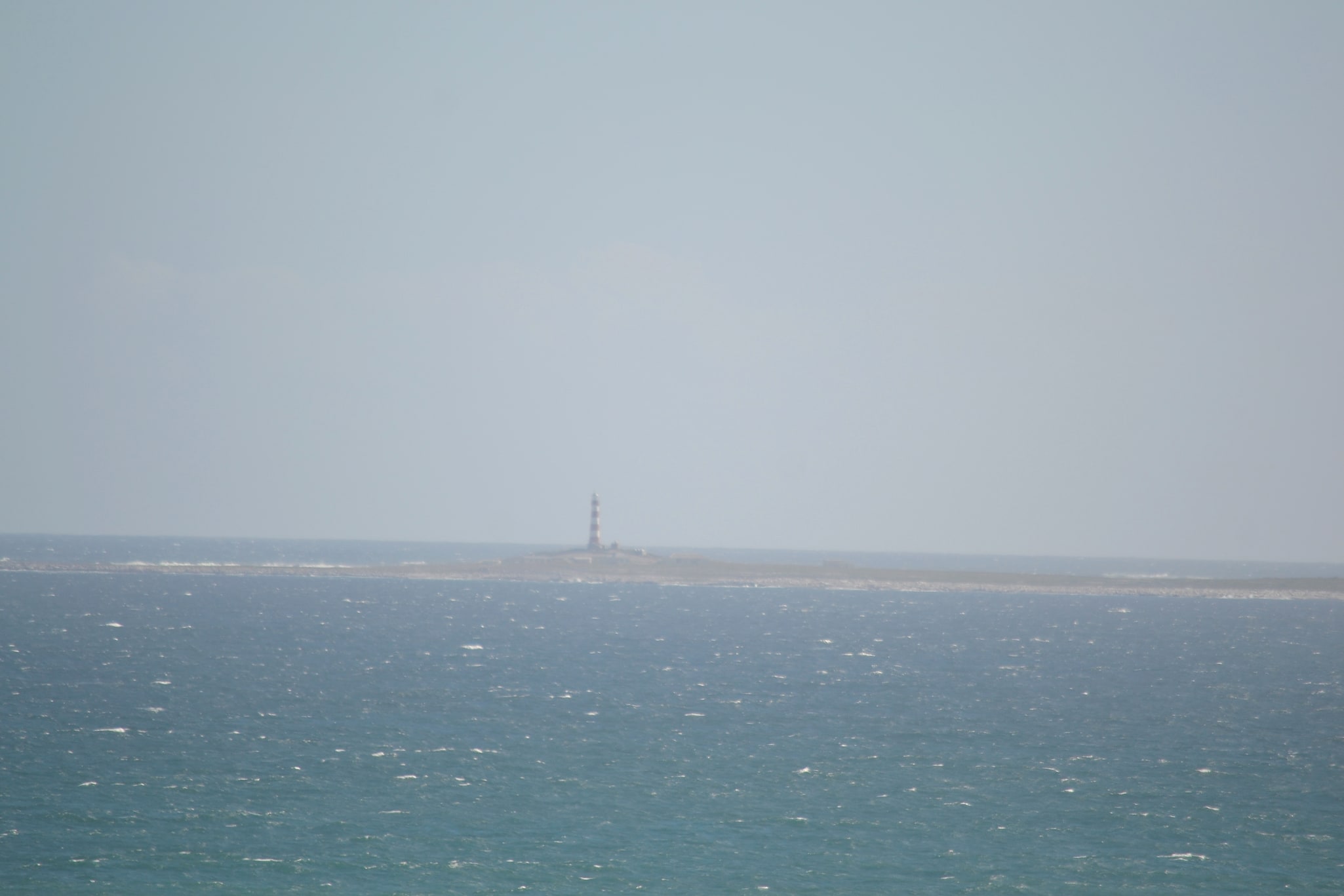 Île de Dassen, Afrique du Sud