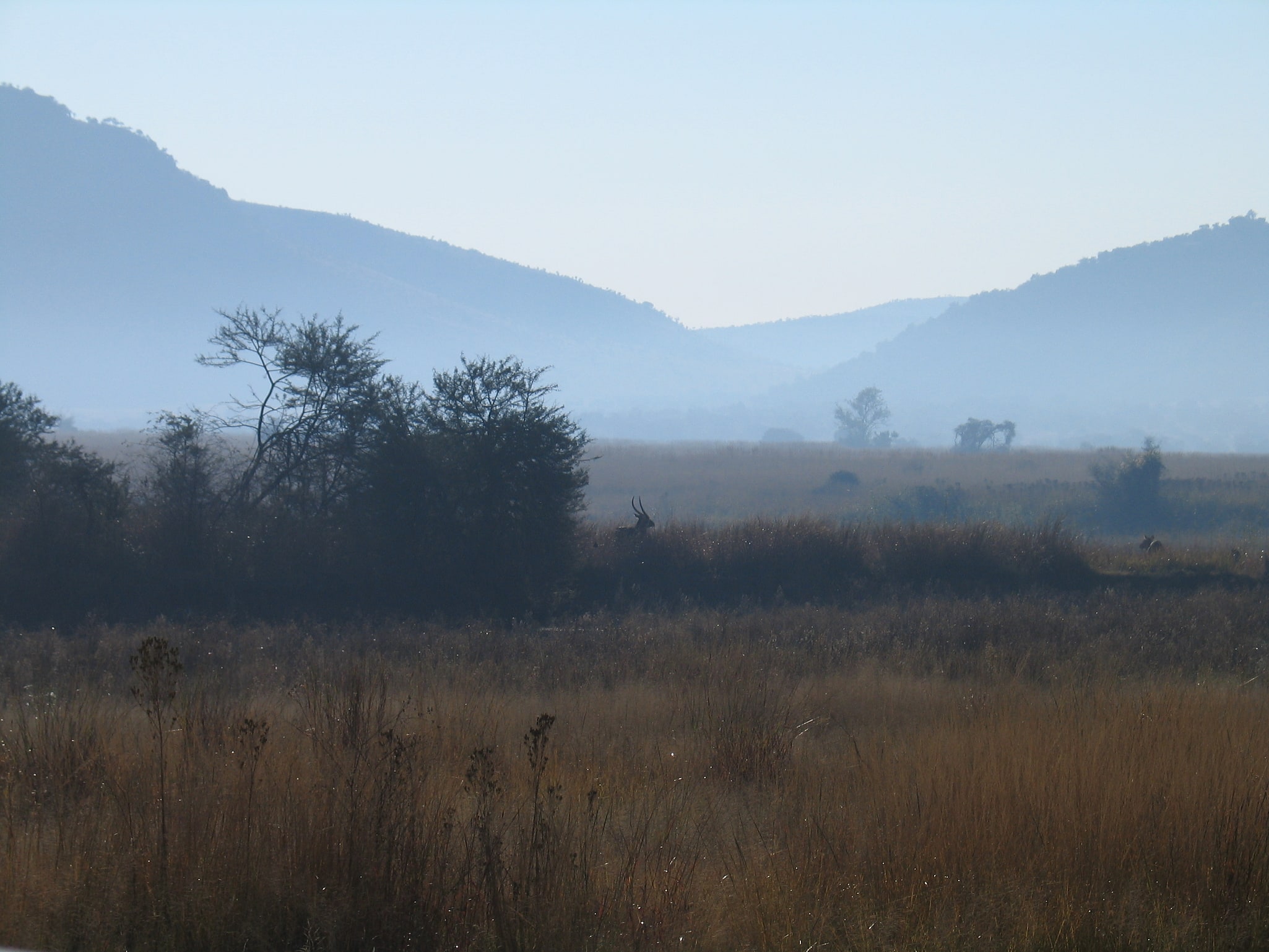 Réserve de chasse Pilanesberg, Afrique du Sud