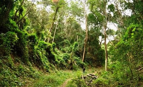 De Hel Nature Area, South Africa