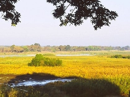 Kasanka-Nationalpark