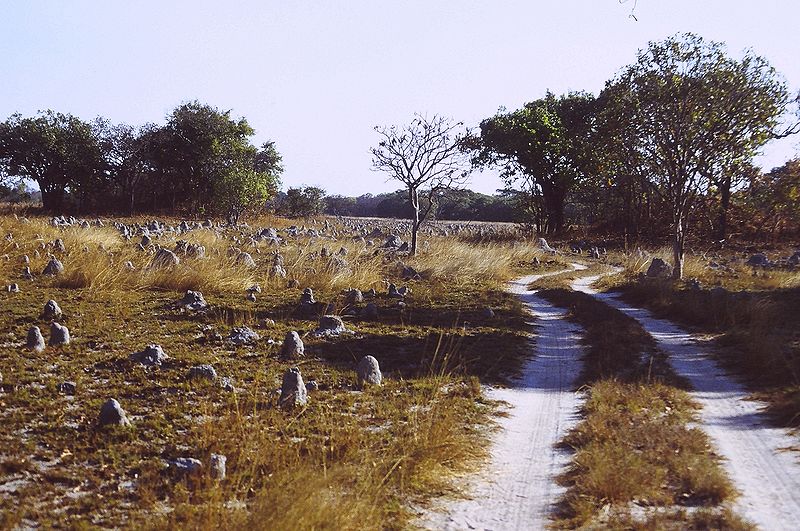 Parc national de Kasanka